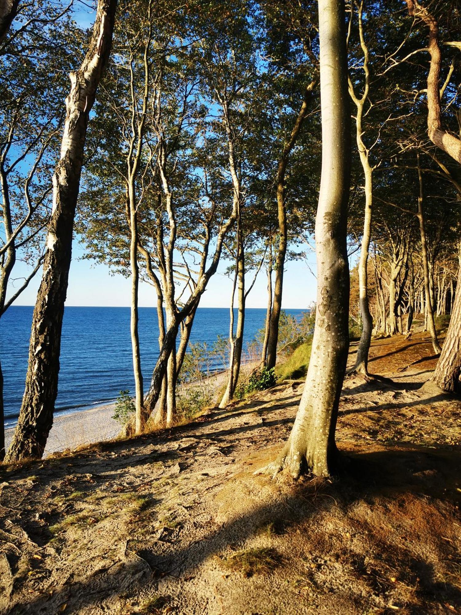 Apartament 12B Niebieskie Apartamenty Poddabie Dawniej Blue Marine Z Basenem Krytym, Odkrytym, Sala Zabaw, Animacjami Poddąbie Exterior foto